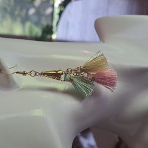 Pastel Tassel Earrings